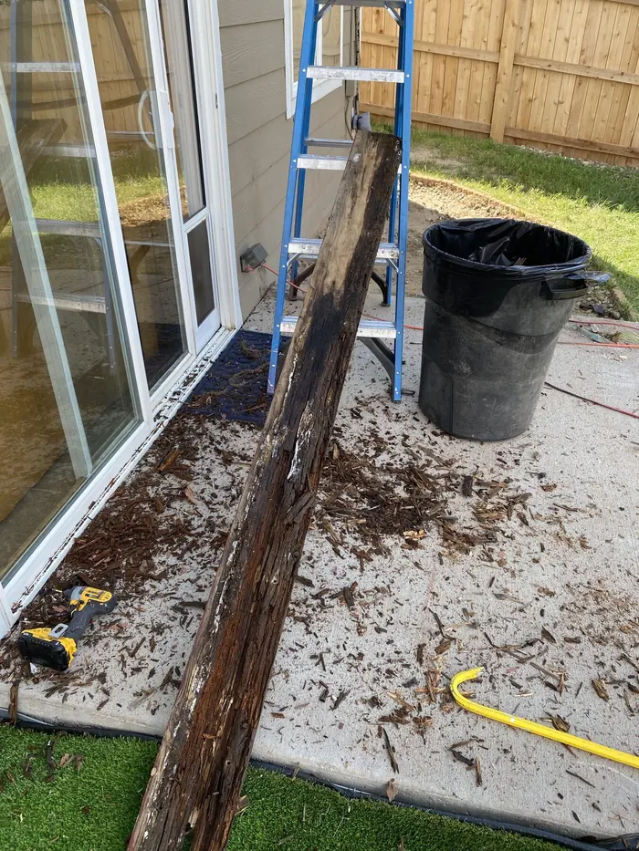A rotted ledger board pulled off a house during a deck tear-out